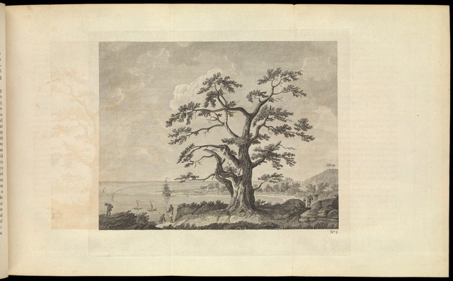 An account of the voyages undertaken by the order of His present Majesty for making discoveries in the Southern Hemisphere, and successively performed by Commodore Byron, Captain Wallis, Captain Carteret, and Captain Cook, in the Dolphin, the Swallow, and the Endeavor, drawn up from the journals kept by the several commanders, and from the papers of Joseph Banks, Esq / By John Hawkesworth ... ; illustrated with cuts and a great variety of charts and maps relative to countries now first discovered or hitherto but imperfectly known.