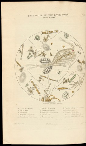 Appendix to report of the committee for scientific inquiries in relation to the cholera-epidemic of 1854.