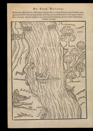 De arte natandi libri duo, quorum prior regulas ipsius artis, posterior vero praxin demonstrationemque continet / [Everard Digby].