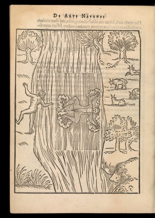 De arte natandi libri duo, quorum prior regulas ipsius artis, posterior vero praxin demonstrationemque continet / [Everard Digby].