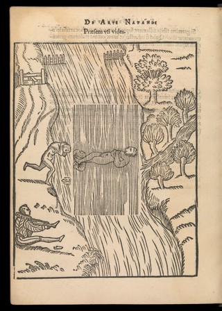 De arte natandi libri duo, quorum prior regulas ipsius artis, posterior vero praxin demonstrationemque continet / [Everard Digby].