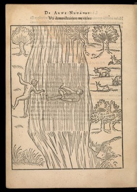 De arte natandi libri duo, quorum prior regulas ipsius artis, posterior vero praxin demonstrationemque continet / [Everard Digby].