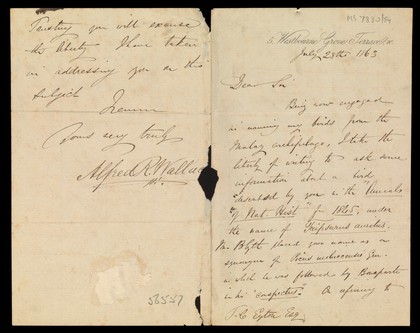 Letters written by Alfred Russel Wallace