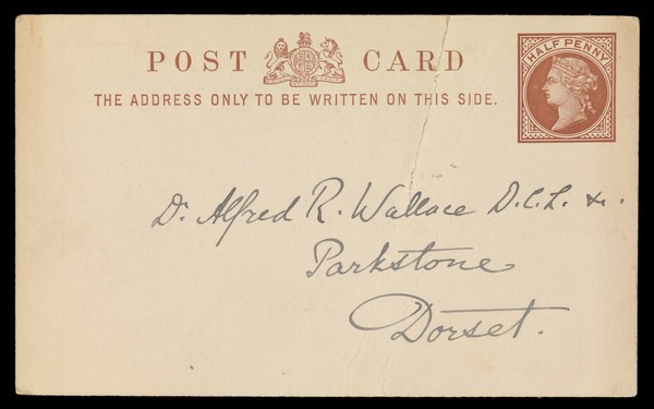 Postcard to Alfred Russel Wallace from Richard Budd.