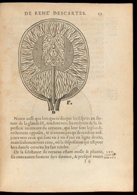 L'homme ... et un traitté de la formation du fœtus. Du mesme autheur / Avec les remarques de Louys de la Forge ... sur le traitté de l'homme.