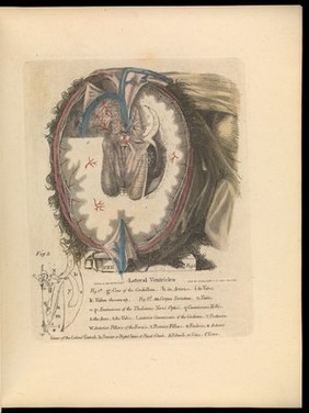 Anatomy of the heart, cranium, and brain : adapted to the purposes of the medical and surgical practitioner; to which is added, in notes, observations on the laws of life and sensation / by Alexander Ramsay.