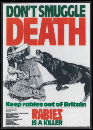 view Rabies: a rabid dog attacking a girl. Colour lithograph, 1977.