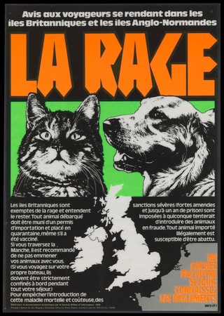 Rabies: a cat and a dog, at risk of bringing rabies into the British Isles from France. Colour lithograph, 1976.