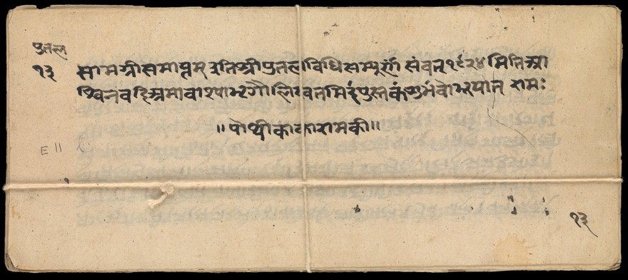 Sanskrit Manuscript