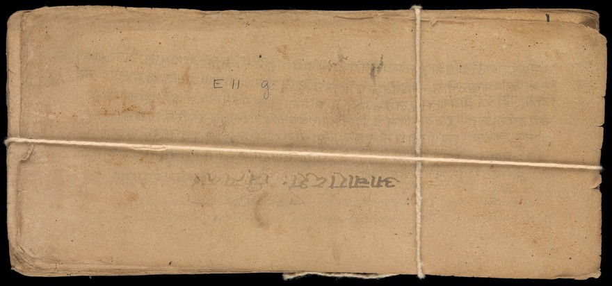 Sanskrit Manuscript