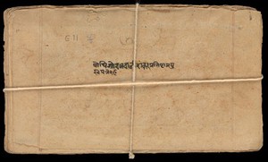 view Sanskrit Manuscript