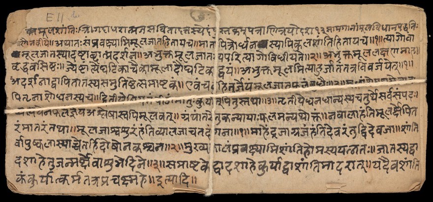 Sanskrit Manuscript