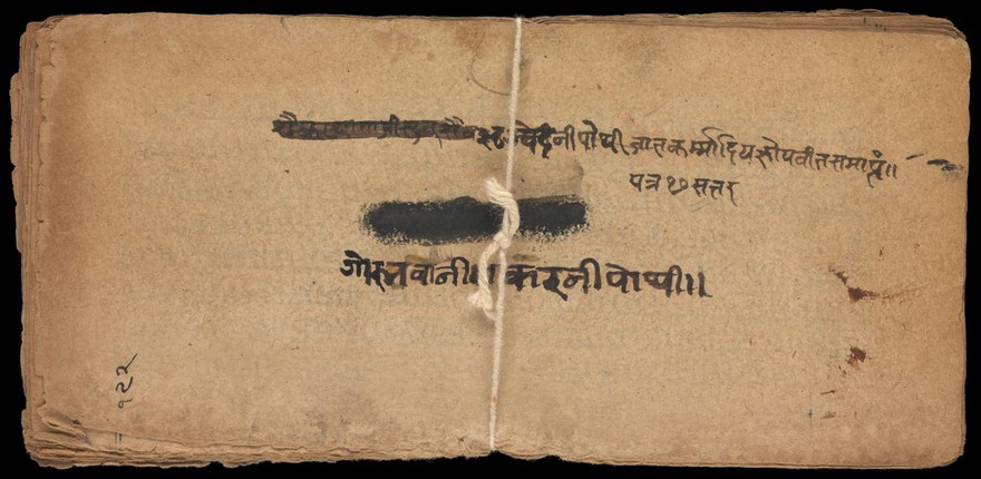 Sanskrit Manuscript