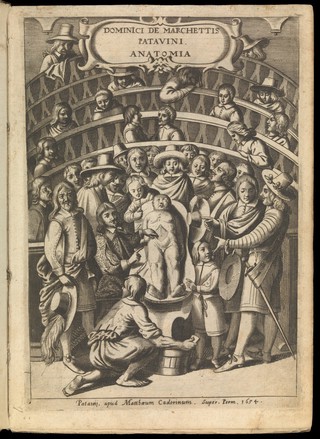 Anatomia cui responsiones ad Riolanum anatomicum Parisiensem in ipsius animadversionibus contra Veslingium additae sunt / [Domenico de Marchetti].