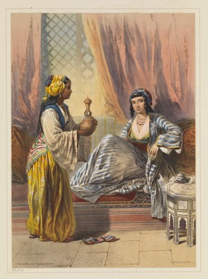 view Cairene lady waited upon by a Galla Slave. In Oriental album : characters, costumes, and modes of life, in the valley of the Nile / with descriptive letter-press by James Augustus St. John ; illustrated from designs taken on the spot by E. Prisse.