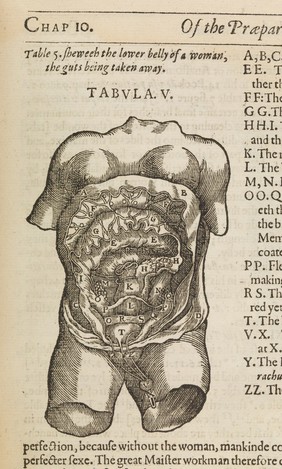 Mikrokosmographia. A description of the body of man...