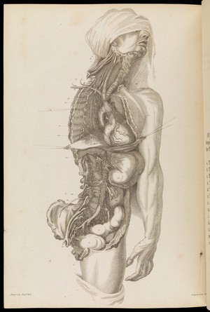 Dissection of the human body. Sir Charles Bell, 1802. | Wellcome