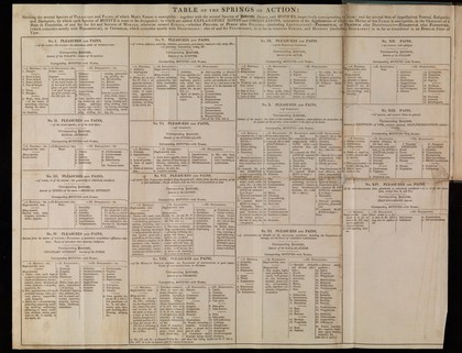 A table of the springs of action : shewing the several species of pleasures and pains, of which man's nature is susceptible: together with the several species of interests, desires, and motives, respectively corresponding to them: and the several sets of appellatives, neutral, eulogistic and dyslogistic, by which each species of motive is wont to be designated: to which are added explanatory notes and observations ...