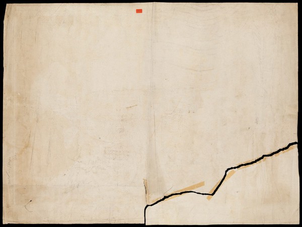 Reverse of Boccaccio's 'The plague of Florence in 1348'