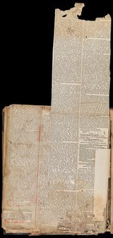 MS. 6789, Newspaper cuttings