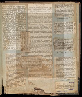 MS. 6789, Newspaper cuttings