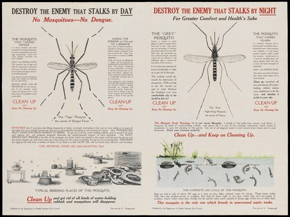 The tiger mosquito and the grey 'night-biting' mosquito as carriers of disease (dengue, yellow fever and filaria); advising citizens to clean up water-holding rubbish. Colour lithograph, ca. 1928.