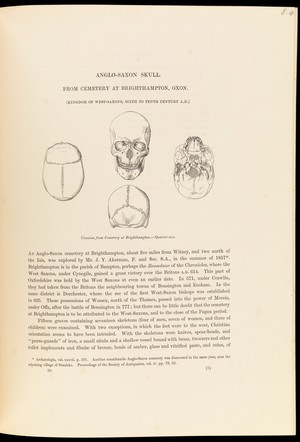 view Four sketches, from different angles, of an Anglo-Saxon skull, from cemetery at Brighthampton, Oxon (Kingdom of the West-Saxons, Sixth to Tenth Century A.D)