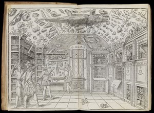 view Woodcut of the Wunderkammer room, from Dell'historia naturale