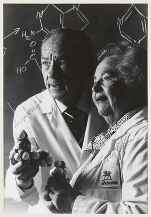 view George H. Hitchings and Gertrude (Trudy) B. Elion. Photograph by Will and Deni McIntyre, 1988.