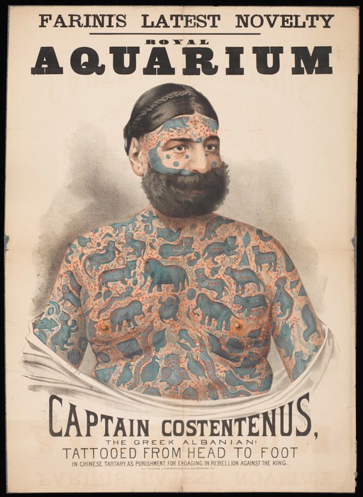 Poster of Captain Costentenus