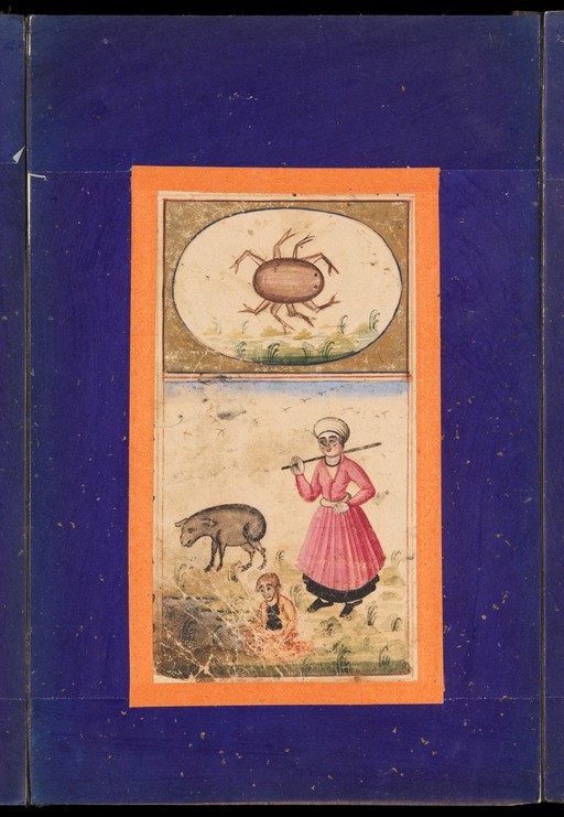 Signs of the zodiac: Cancer, the crab.
