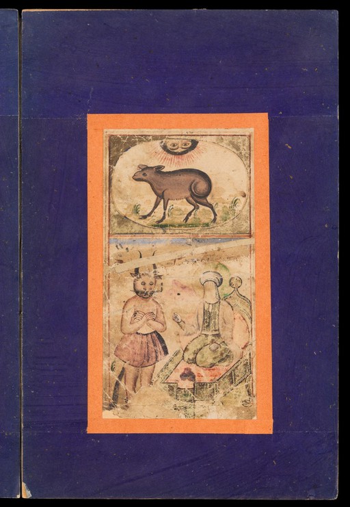 Signs of the zodiac: Capricorn, the goat.