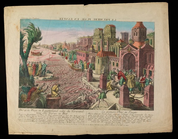 The first plague in Egypt, rivers turned to blood. Coloured etching.