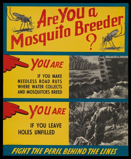 Mosquitoes: American soldiers in World War II can encourage them to breed them by leaving ruts in roads and unfilled earth holes, causing mosquito-borne diseases. Colour lithograph after A. Wells , 1944.