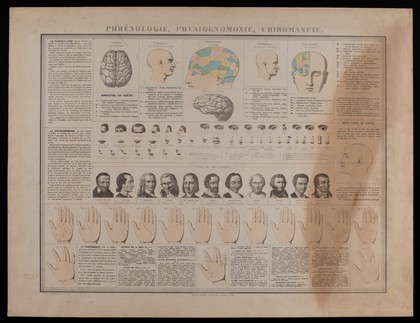 Elements of phrenology, physiognomy and palmistry, with diagrams of heads and hands, and portraits of historical figures. Colour lithograph, 1866.