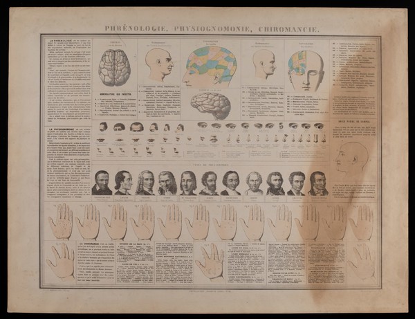 Elements of phrenology, physiognomy and palmistry, with diagrams of heads and hands, and portraits of historical figures. Colour lithograph, 1866.