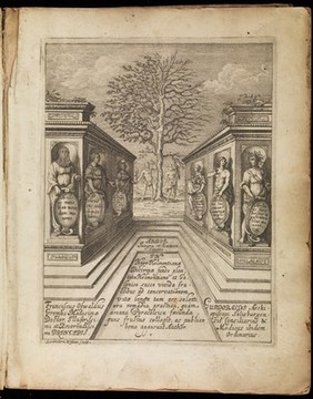 Arbor integra et ruinosa hominis, id est: tractatus medicus theorico practicus in tres libros divisus; in quo sana et morbosa hominis natura ex archeis seu spiritibus innatis ... proveniens ... demonstratur ac simul de rerum principiis ... de usu & defectibus partium humani corporis, de anima, de febribus, peste, venenis, vita longa, & brevi, & tandem de remediis Paracelsicis, juxta consensum et dissensum Hippocratis, Galeni et Helmontii ... disseritur / [Franz Oswald Grembs].