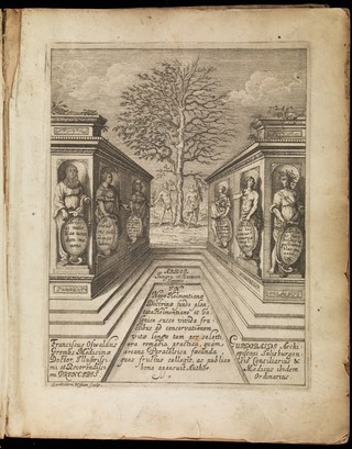 Arbor integra et ruinosa hominis, id est: tractatus medicus theorico practicus in tres libros divisus; in quo sana et morbosa hominis natura ex archeis seu spiritibus innatis ... proveniens ... demonstratur ac simul de rerum principiis ... de usu & defectibus partium humani corporis, de anima, de febribus, peste, venenis, vita longa, & brevi, & tandem de remediis Paracelsicis, juxta consensum et dissensum Hippocratis, Galeni et Helmontii ... disseritur / [Franz Oswald Grembs].