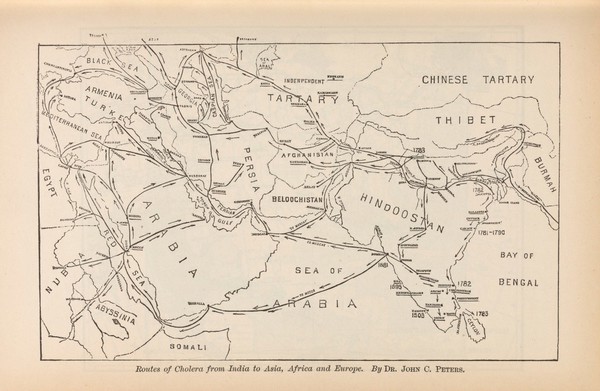 A treatise on asiatic cholera / edited and prepared by Edmund Charles Wendt ; in association with John C. Peters [and others].