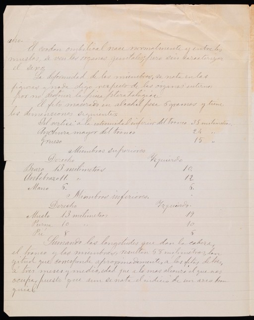 Un feto - a handwritten case study of an teratological case