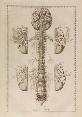 Bernardi Siegfried Albini ... Explicatio tabularum anatomicarum B. Eustachii ... / [Bartolomeo Eustachi].