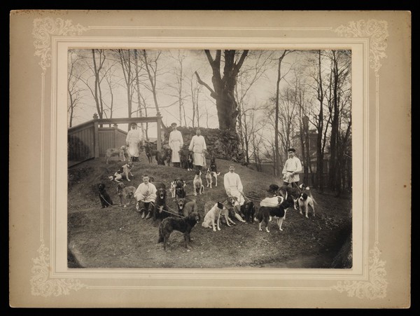 Dogs with their keepers at the Physiology Department, Imperial Institute of Experimental Medicine, St Petersburg. Photograph, 1904.