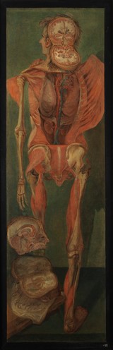 A standing dissected man, posterior view, with separate sections of the brain. Oil painting by Jacques-Fabien Gautier D'Agoty, 1764/1765.