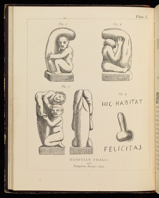 Aphrodisiacs and anti-aphrodisiacs : three essays on the powers of reproduction : with some account of the judicial "congress" as practised in France during the seventeenth century / by John Davenport.
