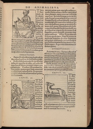 Three woodcuts, 1536. Folio 39 recto.