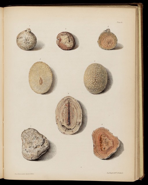 Baldder stones, figures 1-8.