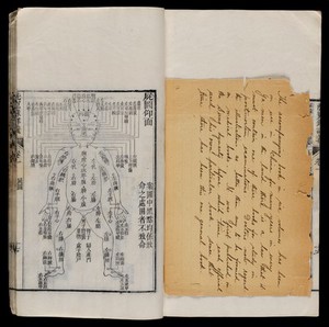 view Chinese diagram of human body, handwritten letter in English.