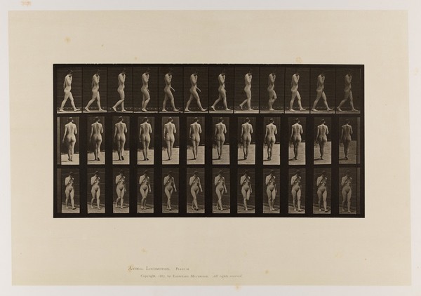 A naked woman walking. Collotype after Eadweard Muybridge, 1887.