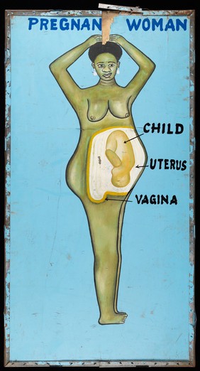 Disease and organs treated by a vodoo practitioner in Benin. Acrylic paintings, 199-.