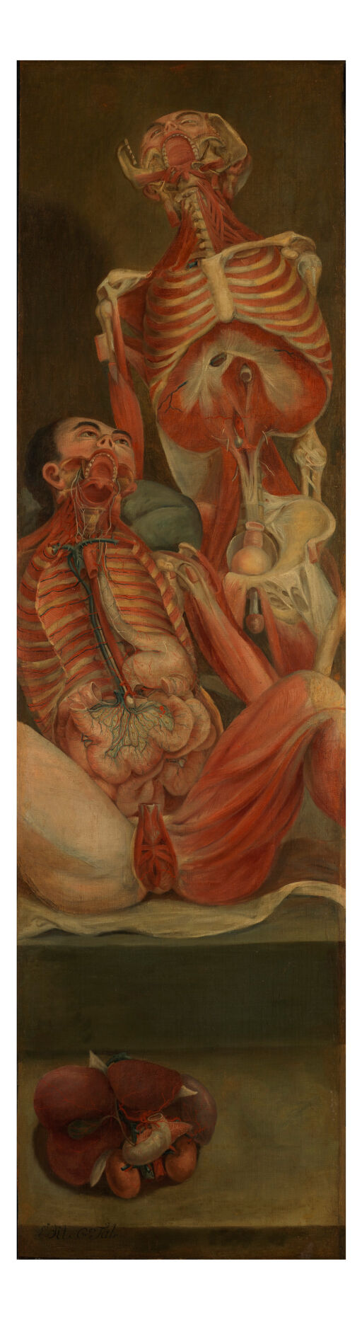 Two dissected men with a separate section of viscera